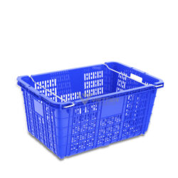 Sóng trái cây HS011 màu dương