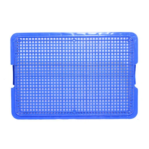 Sóng hở 1t9 mã hs009 xanh dương mặt đáy