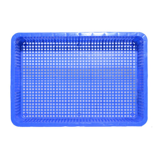 sóng hở 1t9 mã hs009 xanh dương mặt trong