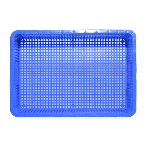 sóng hở 1t9 mã hs009 xanh dương mặt trong