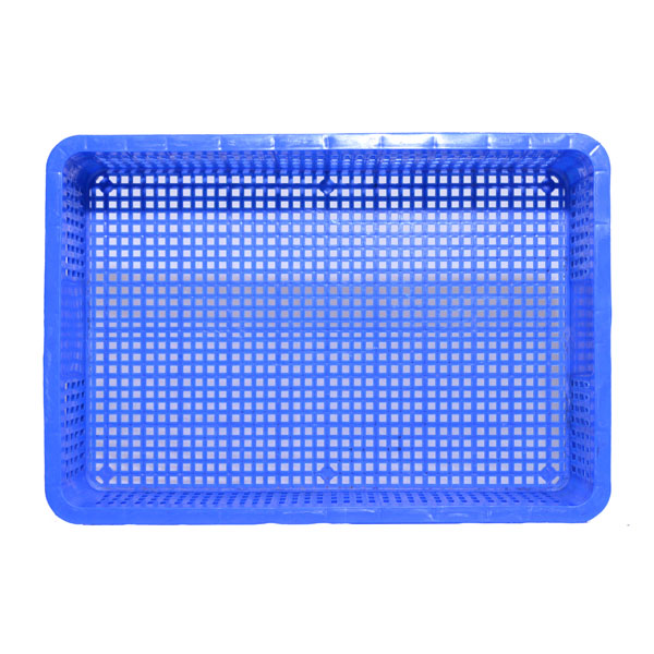 sóng hở 1t9 mã hs009 xanh dương mặt trong