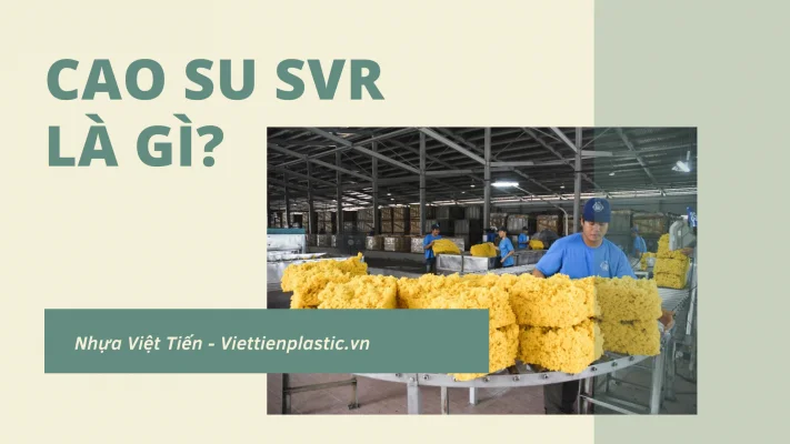 Cao su svr là gì?