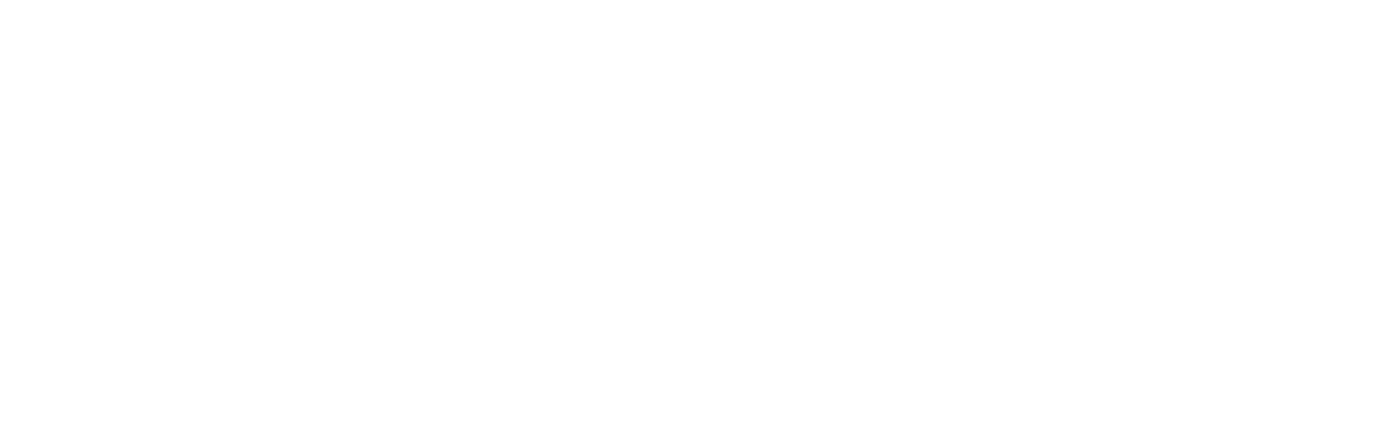 logo viettien