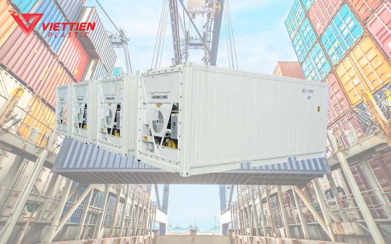 Container 20 feet lạnh (Reefer) bảo quản hàng hóa nhạy cảm với nhiệt độ như thực phẩm và dược phẩm.