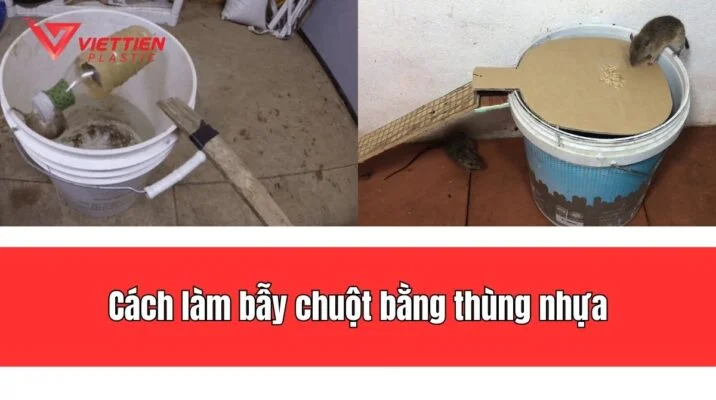bẫy chuột bằng thùng nhựa