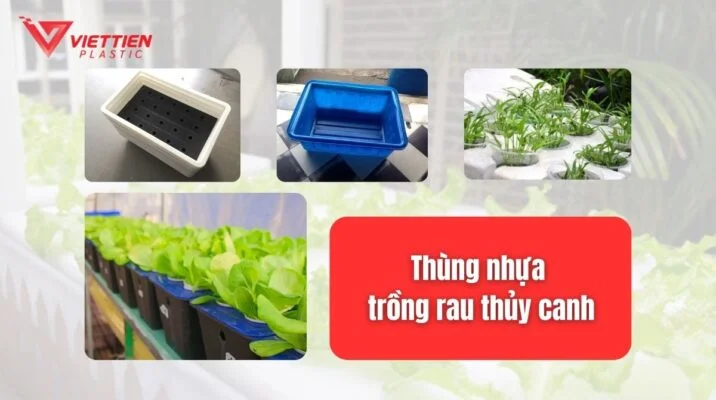 Thùng nhựa trồng rau thủy canh Nhựa Việt Tiến