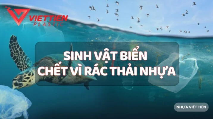 sinh vật biển chết vì rác thải nhựa