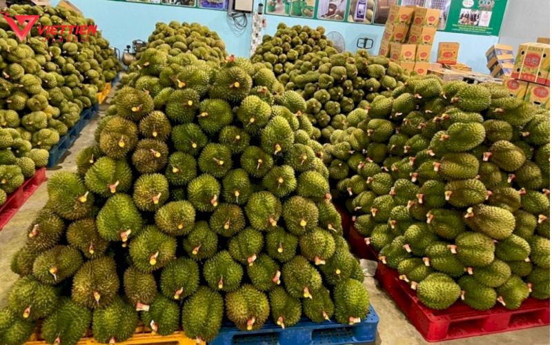 Pallet nhựa là gì?