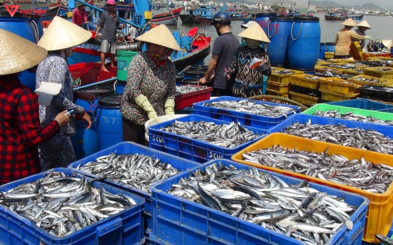 Tầm quan trọng của thùng nhựa trong ngành thủy sản
