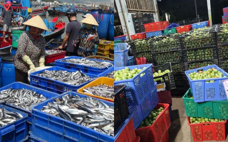 Ứng dụng trong nông nghiệp và nuôi trồng
