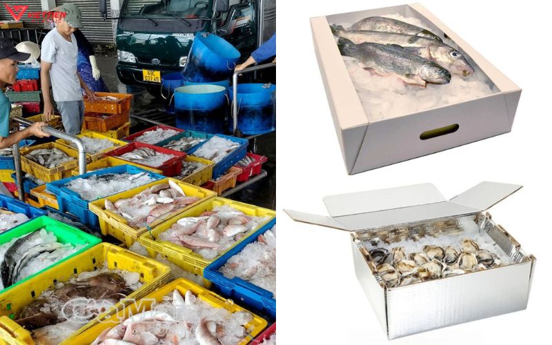 ứng dụng thùng nhựa và thùng giấy 